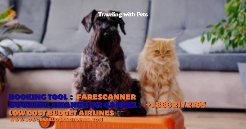 Traveling with Pets